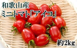 【ふるさと納税】【3月出荷分】和歌山産ミニトマト「アイコトマト」約2kg（S・Mサイズおまかせ）【TM123】