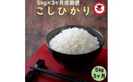 【ふるさと納税】3カ月定期便 千葉県産コシヒカリ5kg