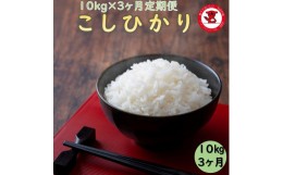 【ふるさと納税】3カ月定期便千葉県産コシヒカリ10kg