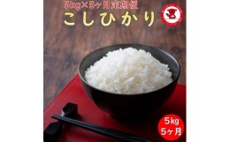 【ふるさと納税】千葉県産コシヒカリ5kg 5ヶ月定期便【お米マイスター厳選】