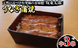 【ふるさと納税】うなぎ坂東太郎 蒲焼 中3串 うなぎ 蒲焼 グルメ 鰻 ウナギ ブランド 冷凍 加工品 惣菜 セット お取り寄せ 真空パック