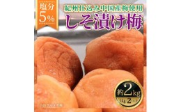 【ふるさと納税】紀州仕込み（中国産梅）しそ漬け塩分５％（１kg×２パック）【白浜グルメ市場】