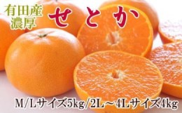 【ふるさと納税】一度は食べていただきたい「有田産のせとか」約4〜5kg（サイズおまかせ）★2025年2月中旬頃より順次発送【TM138】