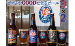 【ふるさと納税】チョウシGOODになるビール3種×2本 6本セット 「銚子エール ・One for All SMaSH!・Black Eye Stout」 各330ml/瓶