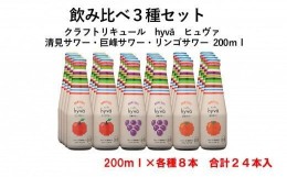 【ふるさと納税】20-11_クラフトリキュール hyva ヒュヴァ 飲み比べ3種セット 各種8本 ｜ サワー リキュール 微炭酸 詰め合わせ　お酒 ア