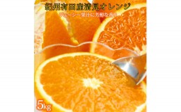 【ふるさと納税】とにかくジューシー清見オレンジ　5kg【2025年3月下旬以降発送】【先行予約】【UT53】