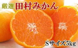 【ふるさと納税】【ブランドみかん】田村みかん約5kg（Sサイズ・秀品）★2024年11月下旬頃より順次発送【TM104】