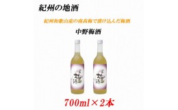 【ふるさと納税】紀州の地酒　中野梅酒 なかのうめしゅ  14度 720ml×2本