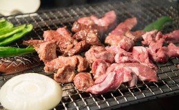 【ふるさと納税】揖斐川TakahashiFarmの豚肉 焼肉セット