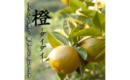 【ふるさと納税】ダイダイ5kg箱(4.5kg入り)　海鮮・手作りポン酢にお勧め！　鈴木農園から農園直送 【北海道・沖縄県・一部離島 配送不可