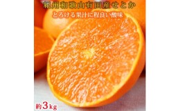 【ふるさと納税】紀州有田産せとか約3kg　とろける食感！ジューシー柑橘【2025年2月下旬以降発送】【先行予約】【UT03】