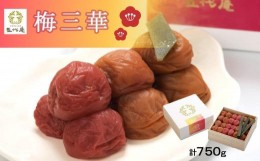 【ふるさと納税】梅三華　各250g（750g）　１箱（みなべ町）