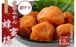 【ふるさと納税】訳あり有田みかん蜂蜜梅干（紀州南高梅）1.2kg（600g×2）