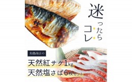 【ふるさと納税】迷ったらコレ！！魚鶴商店の天然紅サケ1kg & 塩さばフィレ6枚セット