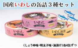 【ふるさと納税】国産いわし缶詰３種セット