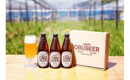 【ふるさと納税】巨峰を使ったすっきりな味わいのクラフトビールOBUBEER 【巨峰】 3本セット