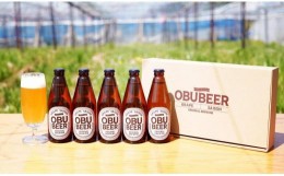 【ふるさと納税】巨峰を使ったすっきりな味わいのクラフトビールOBUBEER【巨峰】 5本セット