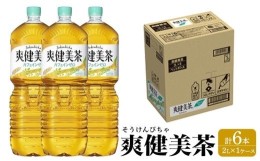 【ふるさと納税】コカ・コーラ 爽健美茶 2L × 6本 1ケース 【 お茶 ドリンク ドリンクお茶 ペットボトル ペットボトルお茶 箱 和歌山県 