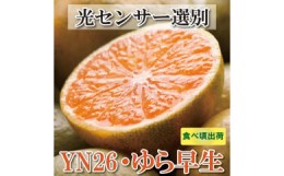 【ふるさと納税】家庭用 極早生有田みかん5kg+150g（傷み補償分）YN26 ゆら早生 訳あり＜2024年9月より発送＞