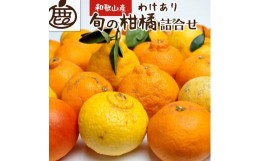 【ふるさと納税】＜1月より発送＞家庭用旬の柑橘詰合せ5kg+150g（傷み補償分）訳あり