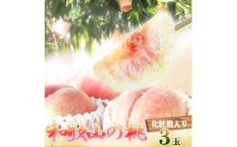 【ふるさと納税】秀品　紀州和歌山産の桃　３玉　化粧箱入【2024年6月下旬より順次発送】