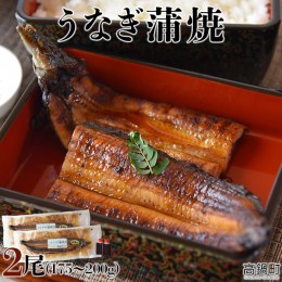 【ふるさと納税】＜うなぎ蒲焼 （175〜200g）×2尾＞翌月末迄に順次出荷