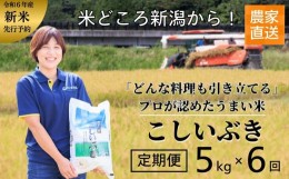 【ふるさと納税】令和6年産新米予約【定期便】プロが認めたうまい米『こしいぶき』定期便5？×6回 計30？ 新潟県糸魚川産 農家直送 おい