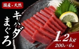 【ふるさと納税】まぐろ刺身 国産キハダマグロ 冷凍 短冊 セット 約1.2kg ( まぐろ マグロ 鮪 キハダマグロ 刺身 刺し身 小分け 短冊 便