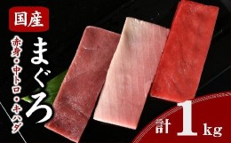 【ふるさと納税】【2.5-5】国産マグロ食べ比べ冷凍短冊セット　約1kg　まぐろ　鮪　赤身　中トロ　キハダマグロ　刺身　刺し身　小分け　