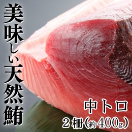 【ふるさと納税】天然本マグロ　中トロ　２柵（４００ｇ）