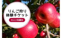 【ふるさと納税】りんご狩り体験チケット（大人2名様分） りんご りんご狩り フルーツ 果物 フルーツ狩り チケット 体験 リンゴ ジュース
