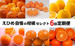 【ふるさと納税】えひめの柑橘セレクト6回定期便　