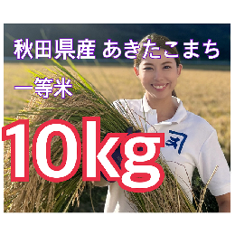 【ふるさと納税】あきたこまち5kg×2個（10kg）[B3-2301]