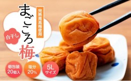 【ふるさと納税】まごころ梅　白干し　塩分20％　5Lサイズ　個包装　１２個入り