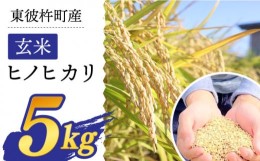 【ふるさと納税】東彼杵町産のお米 5kg（玄米・令和5年度ヒノヒカリ）【株式会社ウラノ・URABIO】/お米 米 玄米 ふっくら ツヤツヤ 甘い 