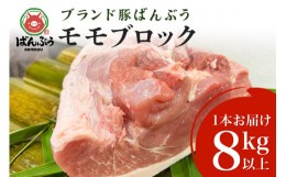 【ふるさと納税】ブランド豚「ばんぶぅ」モモブロック1本（8kg以上）ばんぶぅ 豚肉 モモ もも肉 モモブロック ブロック肉 モモ肉 しゃぶ