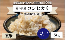 【ふるさと納税】【先行予約】【令和6年産・新米】【特別栽培米】福井県産 コシヒカリ 5kg 〜化学肥料にたよらない 有機肥料100%〜 ネオ