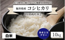 【ふるさと納税】【先行予約】【令和6年産・新米】【特別栽培米】福井県産 コシヒカリ 10kg 〜化学肥料にたよらない有機肥料100%〜 ネオ