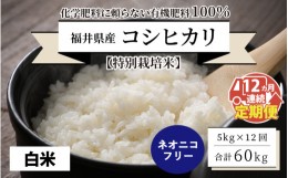 【ふるさと納税】【先行予約】【令和6年産・新米】【12ヶ月連続お届け】【特別栽培米】福井県産 コシヒカリ 5kg 〜化学肥料にたよらない