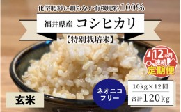 【ふるさと納税】【先行予約】【令和6年産・新米】【12ヶ月連続お届け】【特別栽培米】福井県産 コシヒカリ 10kg 〜化学肥料にたよらない