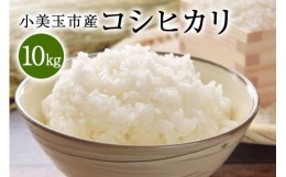 【ふるさと納税】令和5年産 浜野さんの特別栽培米 コシヒカリ 10kg こしひかり お米 白米 リピーター続出 特別栽培 天然肥料 茨城県 小美