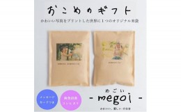 【ふるさと納税】【12ヶ月 かわいいお米の成長報告 -megoi-】 南魚沼産コシヒカリ2合（300ｇ）×2袋