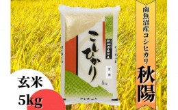 【ふるさと納税】【令和6年産 新米】南魚沼産コシヒカリ「秋陽」(玄米5kg)×6回 新潟県の特A地区南魚沼市の美味しいお米