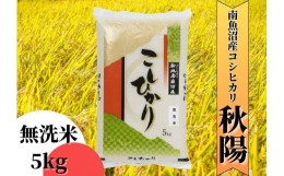 【ふるさと納税】【令和6年産 新米】南魚沼産コシヒカリ「秋陽」(無洗米5kg)×9回 新潟県の特A地区南魚沼市の美味しいお米