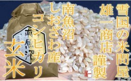 【ふるさと納税】●玄米● 【定期便10Kg×6ヶ月】 生産者限定 南魚沼しおざわ産コシヒカリ