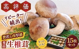 【ふるさと納税】【一度食べたら忘れられない】九州で唯一！ 希少な肉厚生椎茸 秀品15枚セット / 生しいたけ 生シイタケ きのこ キノコ 