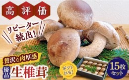 【ふるさと納税】【一度食べたら忘れられない】九州で唯一！ 希少な生椎茸 【優品】15枚セット / しいたけ 椎茸 生しいたけ 生シイタケ 