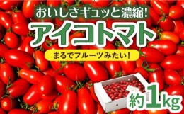 【ふるさと納税】【完熟ミニトマト】アイコトマト 約1kg / とまと トマト ミニトマト プチトマト 野菜 / 南島原市 / 長崎県農産品流通合