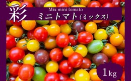 【ふるさと納税】サザキ農園 ミニトマト彩りセット （ ミックス ） 1kg | 野菜 やさい トマト とまと ミニトマト カラフル 彩り セット 