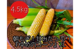 【ふるさと納税】【2024年8月下旬から発送】農家直送！朝もぎスイートコーン『ゆめのコーン』2L 10〜12本（4.5kg）